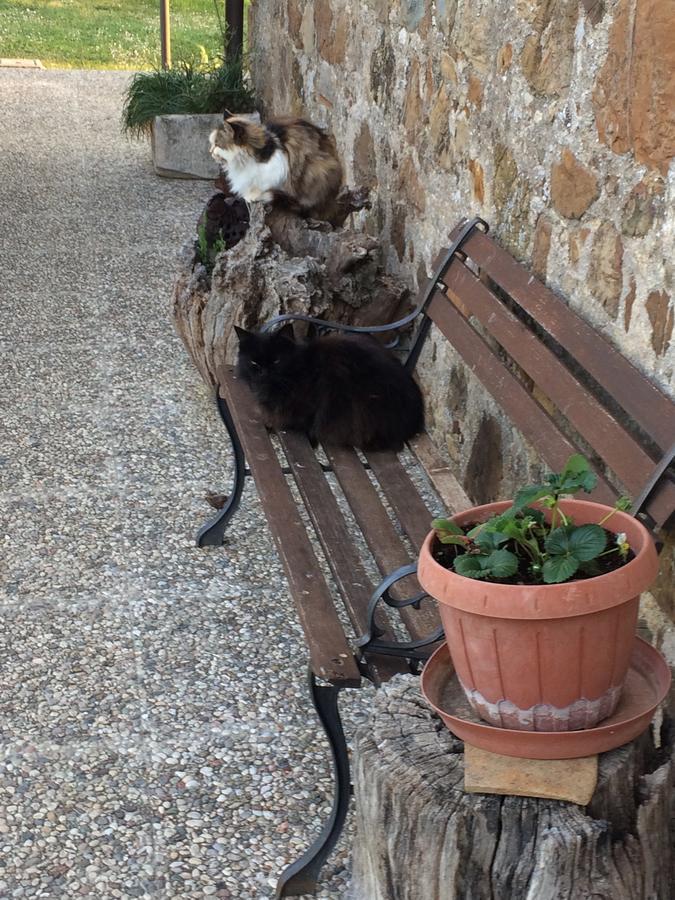 Casetta Tartuchino Semproniano Buitenkant foto