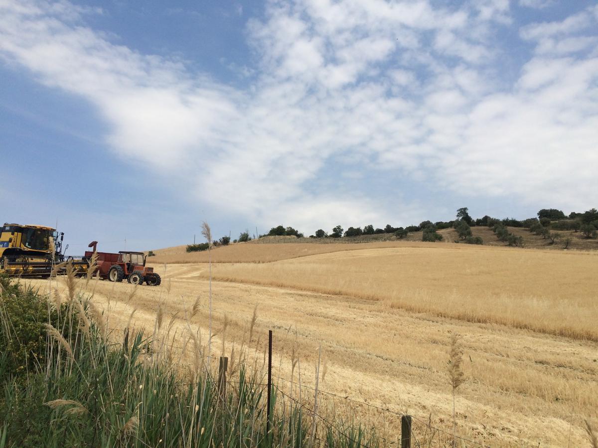 Casetta Tartuchino Semproniano Buitenkant foto